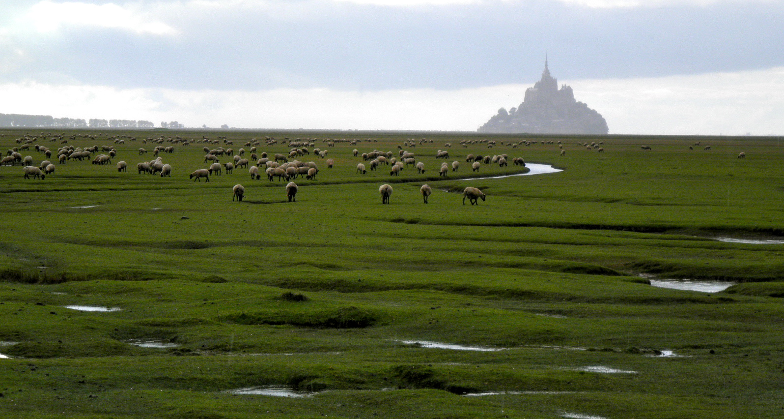 Mont_Saint_Michel_Brume.JPG